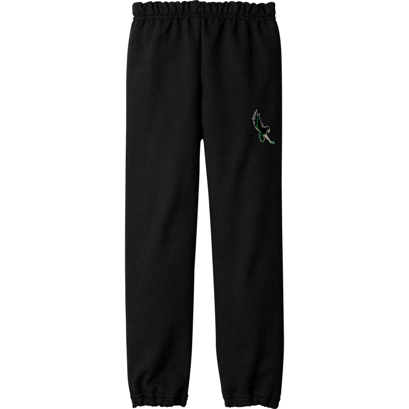 Wilmington Nighthawks Youth Heavy Blend Sweatpant