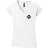 Wash U Softstyle Ladies Fit V-Neck T-Shirt