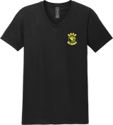 Chester County Softstyle V-Neck T-Shirt