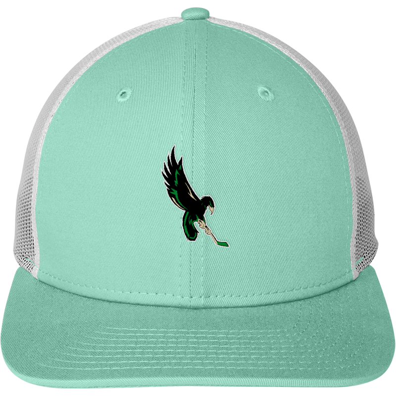 Wilmington Nighthawks New Era Snapback Low Profile Trucker Cap