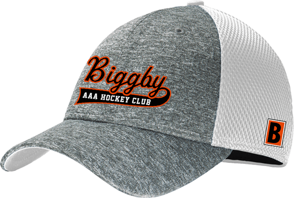 Biggby Coffee AAA New Era Shadow Stretch Mesh Cap