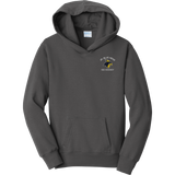 Delaware Jr. Blue Hens Youth Fan Favorite Fleece Pullover Hooded Sweatshirt