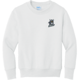 Hard Edge Hockey Youth Core Fleece Crewneck Sweatshirt